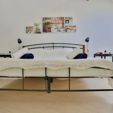 Vacation Vibor Dračevica